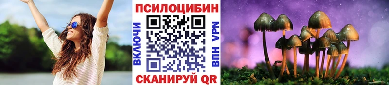 где можно купить наркотик  Кремёнки  Псилоцибиновые грибы мицелий 